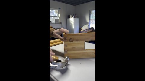 Beekeeping: here we come!