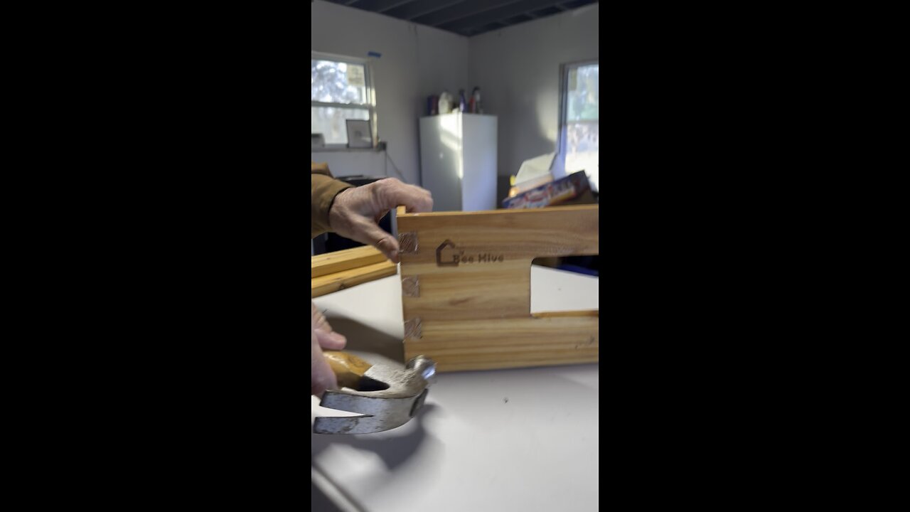 Beekeeping: here we come!