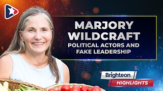 Political Actors and Fake Leadership