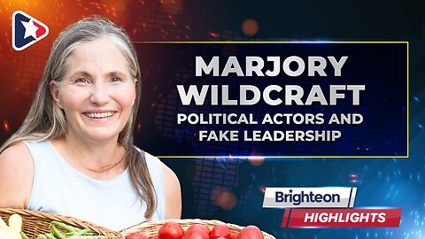 Political Actors and Fake Leadership