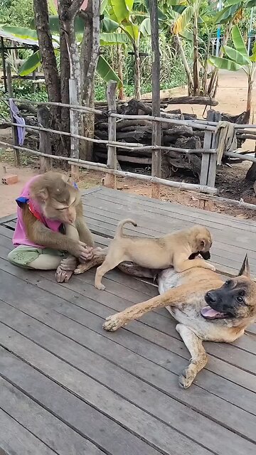 Awesome Video Best SokYaa, OG, Pao & Mom Are Famous Around The World #shorts #anime #trend #edit