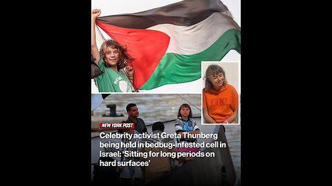Celebrity activist Greta Thunberg being held in bedbug-infested cell in Israel