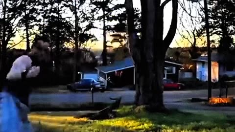 Can You Watch This Without Laughing? 😂🤣 #shorts #rumble #viralrumble #trending