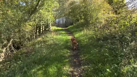 05/10/25 random run with Willow