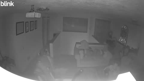 😨🐕 Unseen Terror: Dog Reacts to Weird Noises in Empty House | TheHauntingHour