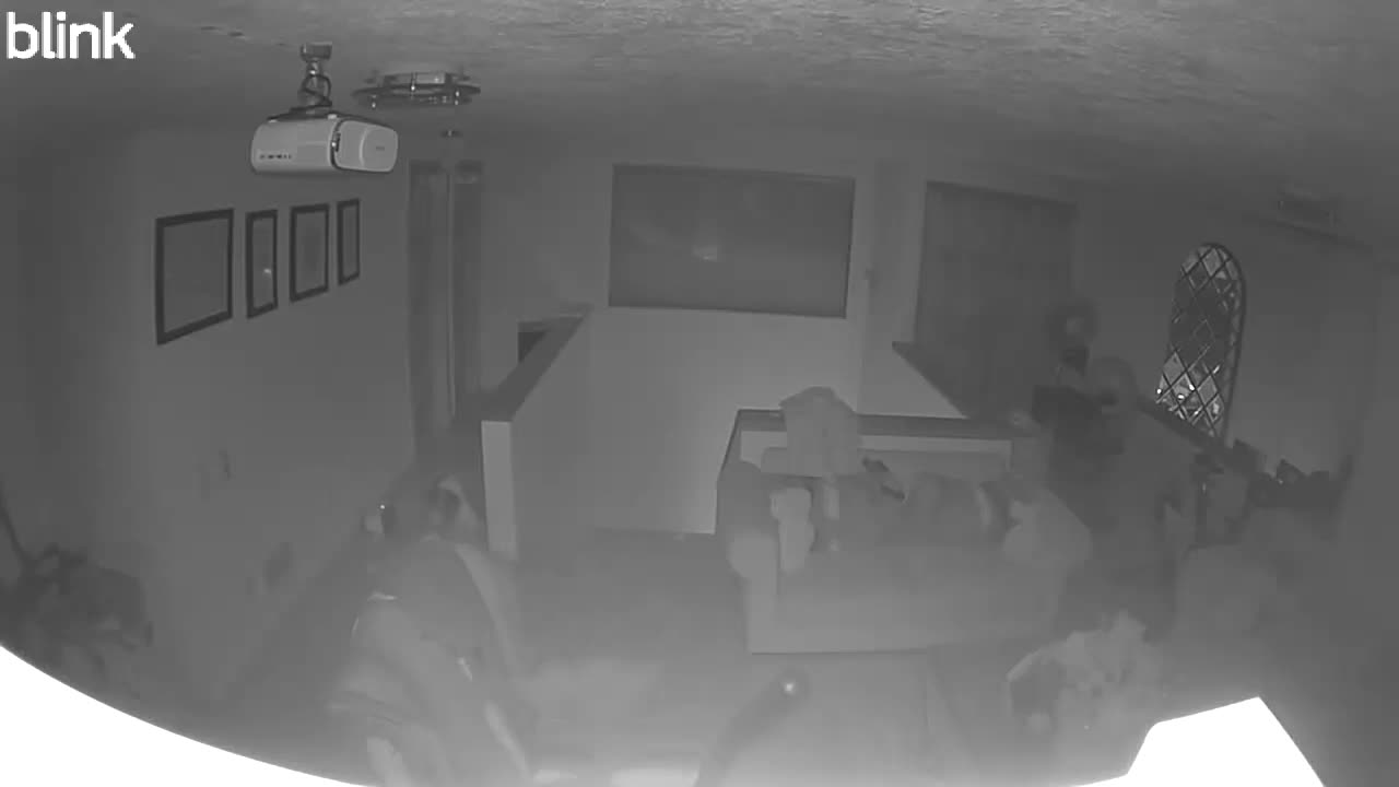 😨🐕 Unseen Terror: Dog Reacts to Weird Noises in Empty House | TheHauntingHour