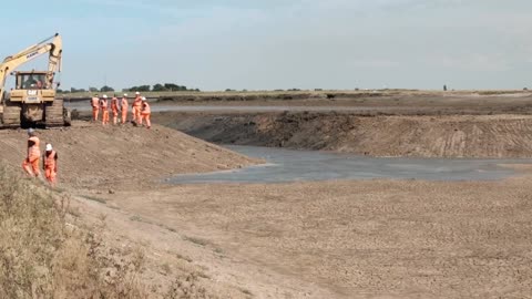 From wasteland to wetland. Why our coastal wetlands are vital for birds and people