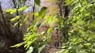 🛸🇺🇦 Ukraine Russia War | Ukrainian Soldier's Drone Defense | RCF