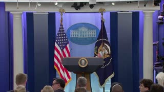 TWO CATS U.S. POLITICAL NEWS