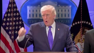 TWO CATS U.S. POLITICAL NEWS