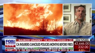 California leaders ‘not going to do it’: Celebrity real estate agent on wildfire rebuilding efforts