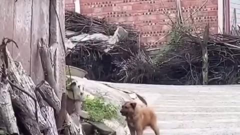 A true friend never leaves you