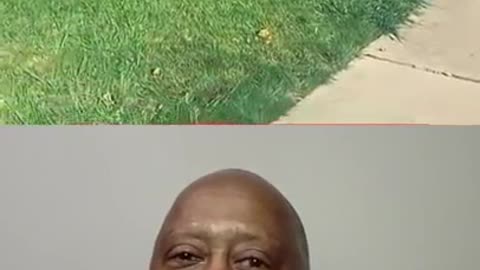 BIG AL LOVES TO FOLLOW HIS BIG SISTER ZINA GAIL