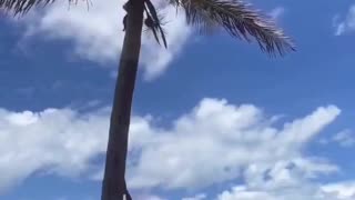 😂🌰 Nut Meets Nut: Hilarious Encounter! | FunFM