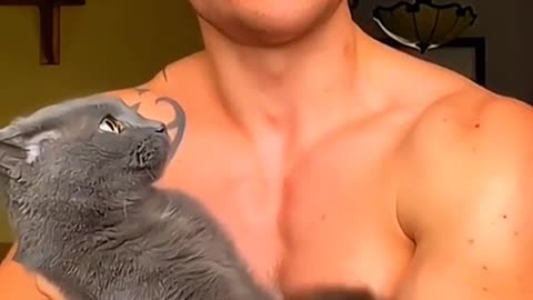 Funny Dogs & Cats 🐶🐱