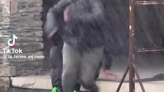 😂💥 She Didn't See This Coming! Instant Regret | FunFM