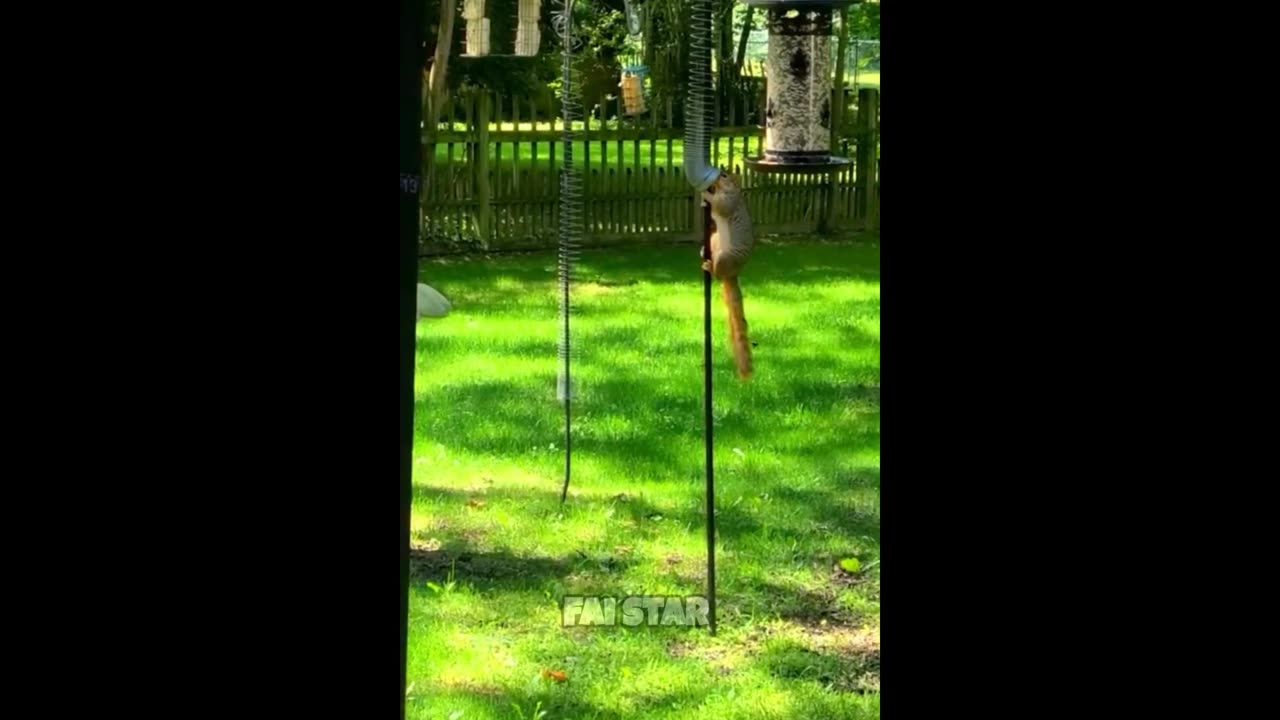 Weekly Fails That Went Completely Wrong 😂 (Part 3)