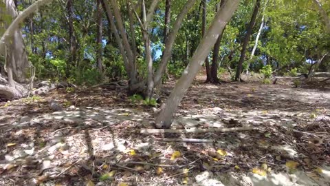 Kennedy Island & PT109