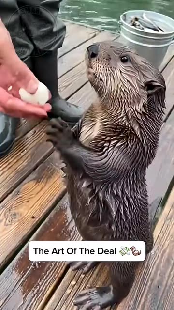 THE ART OF THE DEAL...