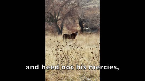 #11: “Softly And Tenderly Jesus Is Calling” (w/lyrics) | MODERN MELODIES to METHODIST HYMNAL LYRICS