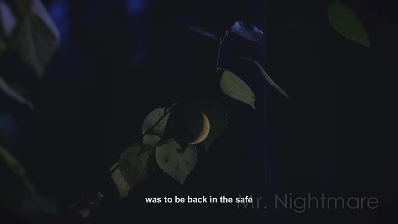 3 Terrifying TRUE Scary Stories – Dark Files | Midnight Tales