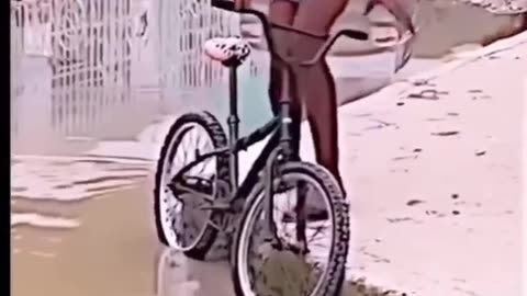 😆😆😆😂