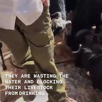 New footage shows armed Israeli settlers in Al-Mughayyir