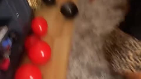 ASHLEY CHINARED TURNING UP AT ASHYRUS SILK PAJAMA PARTY