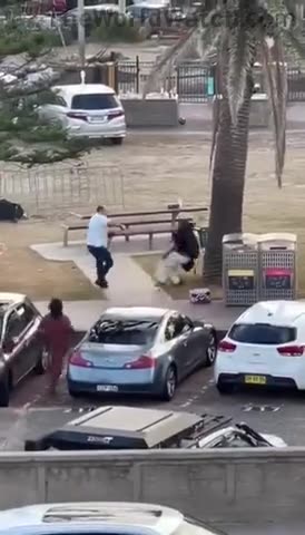 footage of how this man saved multiple lives today on Bondi Beach