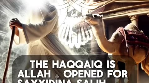The Arabic Prophet Sayyidina Salih عليه السلام and the Power of Salawat