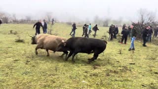 Kroki od Redžića vs Lugo od Hasanovića 2025