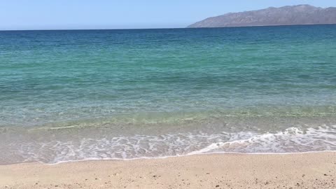 Bioelectricidad y Frecuencias para la Salud y la Lucha Contra Patógenos