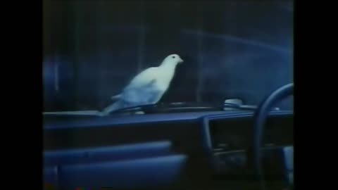 Japanese Car Mystique