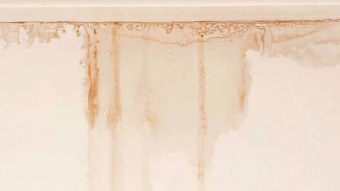 How To Prevent Mold In Florida’s Humid Climate: Expert Tips For Homeowners