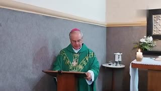 Santa Misa - Parroquia Catedral San Fructuoso de Tacuarembó, Uruguay - Domingo 26/10/2025