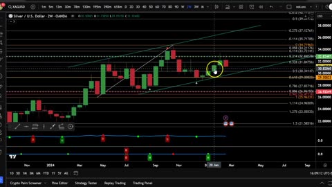 GOLD, SILVER, XRP, BITCOIN, XSP