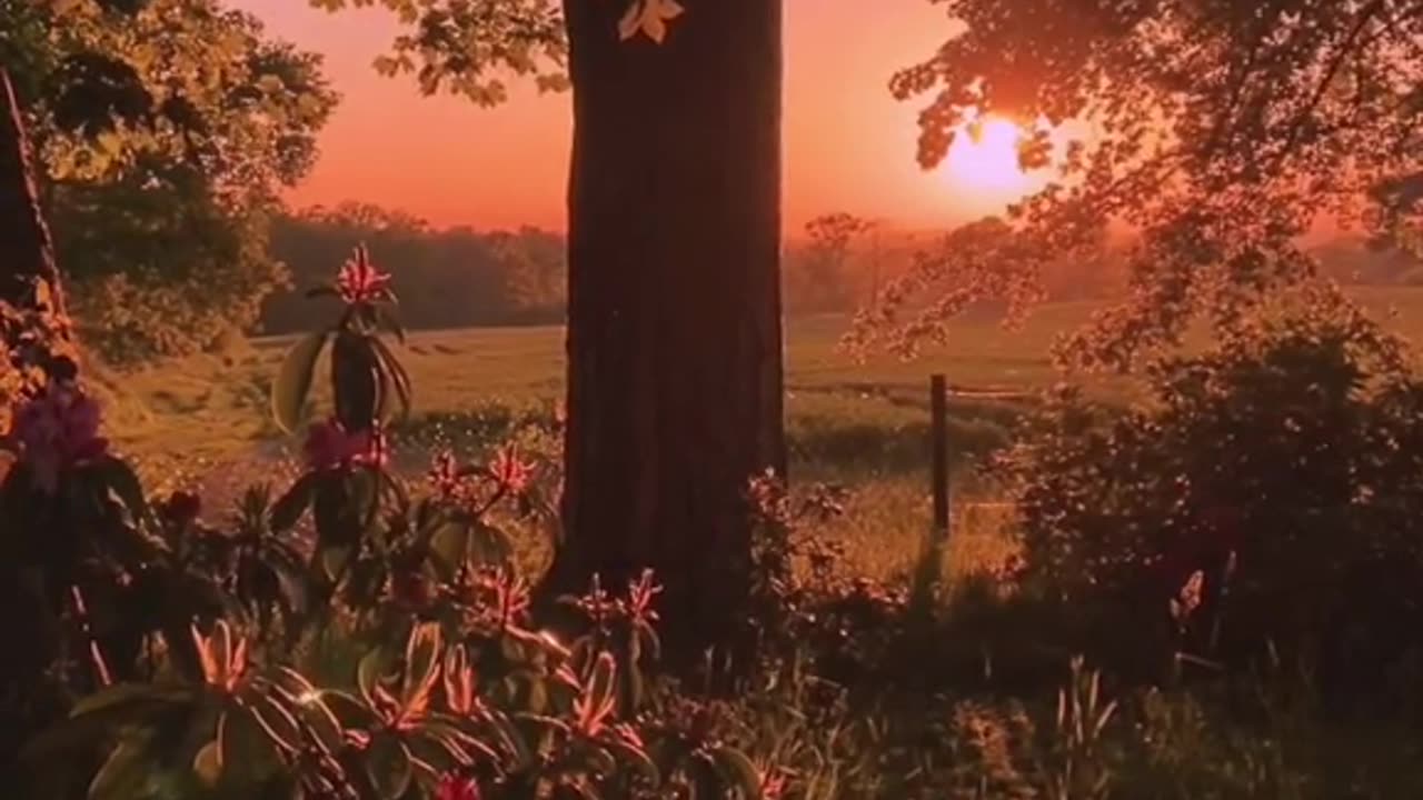 Beauty of Nature