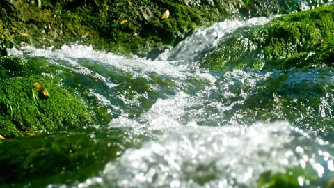 "Confidence is built on the graveyard of your failures."