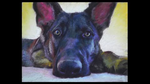 German Shepherd Dog Pastel Painting Timelapse