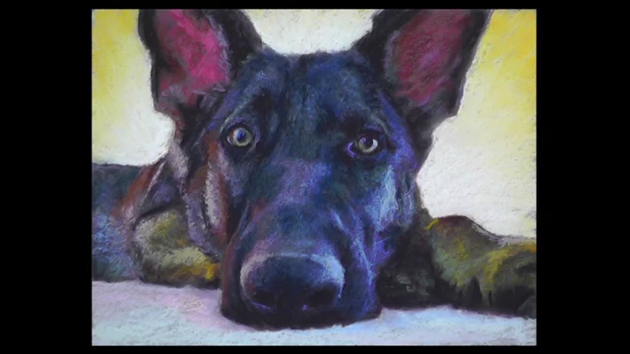 German Shepherd Dog Pastel Painting Timelapse