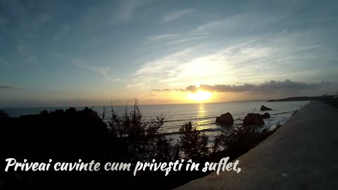 Dănilă Mureșianu - Noapte Rudimentară