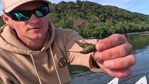 CHEMTRAILS HIT THE WATER - HELICOPTER CAUGHT SPRAYING “SACRED LAKE”