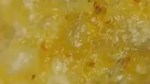 Cheetos Are ALIVE Under Microscope