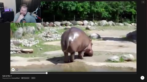 393 Media Share Thursday