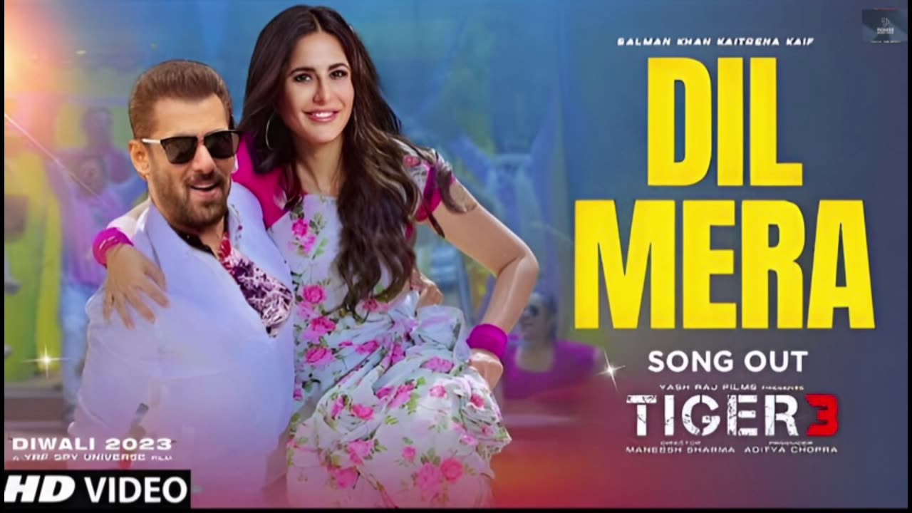 King | DİL MERA | Salmna Khan | Katrina Kaif | Pioneer Music India