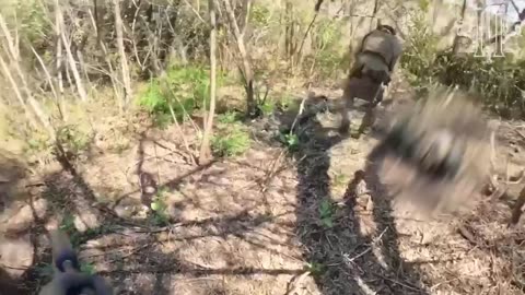 🐺 Operators of the 8th Special Operations Forces Regiment foiled the enemy's plans