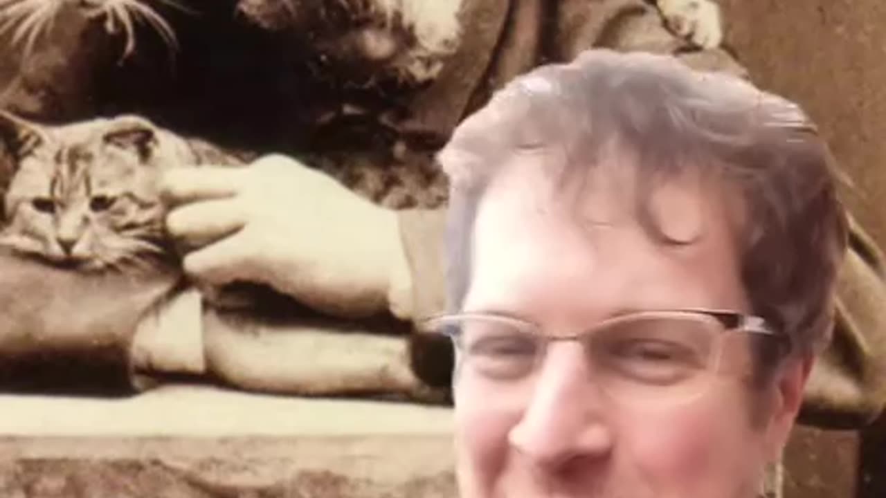 Cat MeMe's in the 1800's?