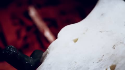 HARAKIRI FOR THE SKY - THE TRACES WE LEAVE ( OFFICIAL MUSIC VIDEO )