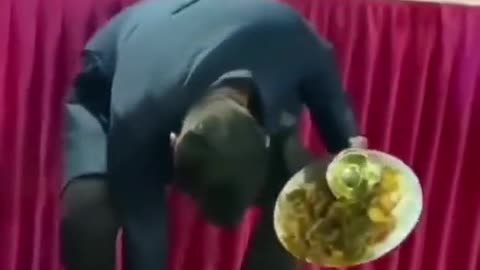 Entertainment