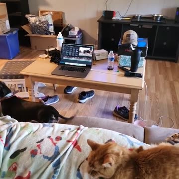 why my uploads are gonna be screwy this week